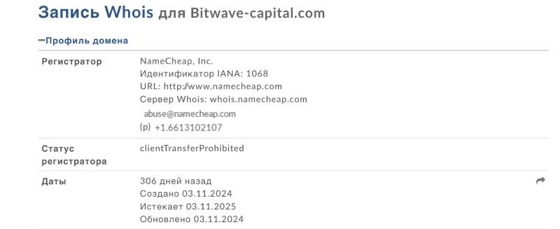Bitwave Capital 
