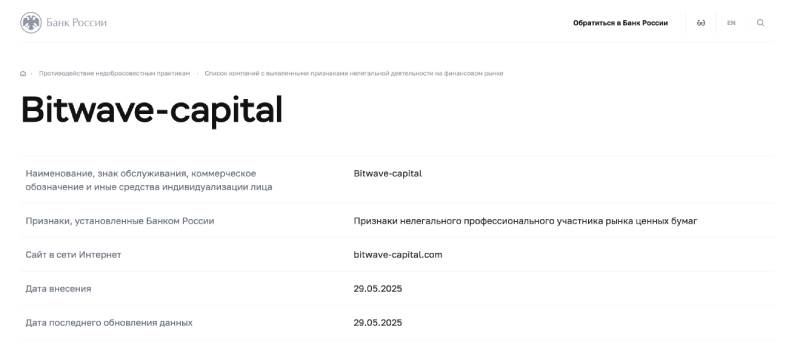 Bitwave Capital 