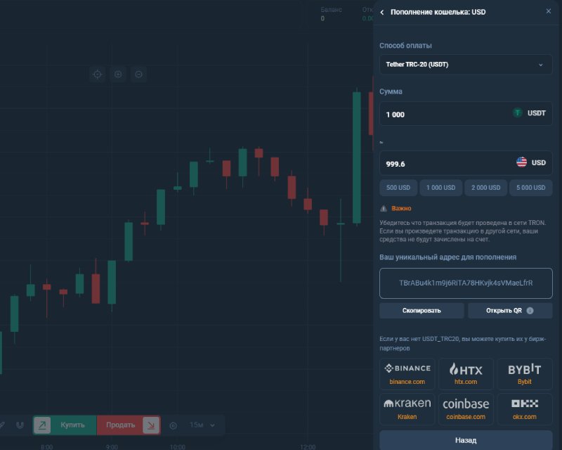 Как торговый терминал FinVision превращается в ловушку