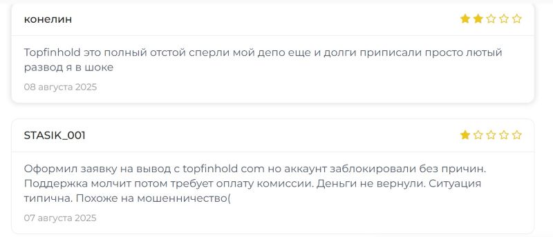 Topfin 
