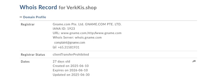 Verkkis