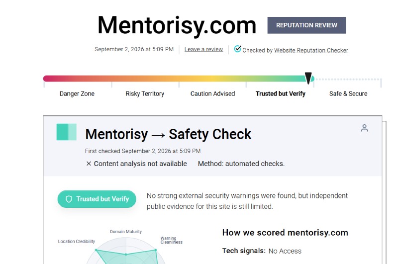 Mentorisy