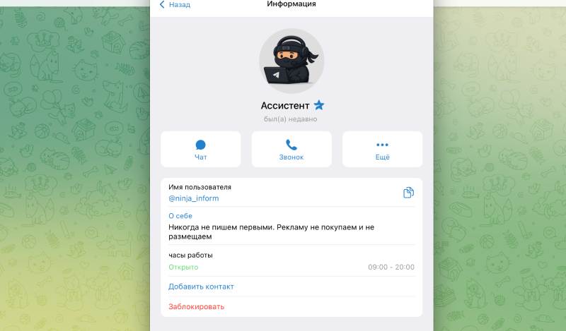 Ninja Invest: разоблачение канала о заработке на инвестициях