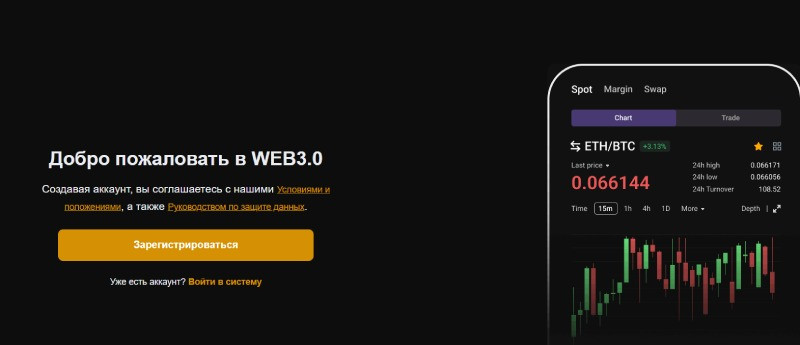 Web Api Vip logo