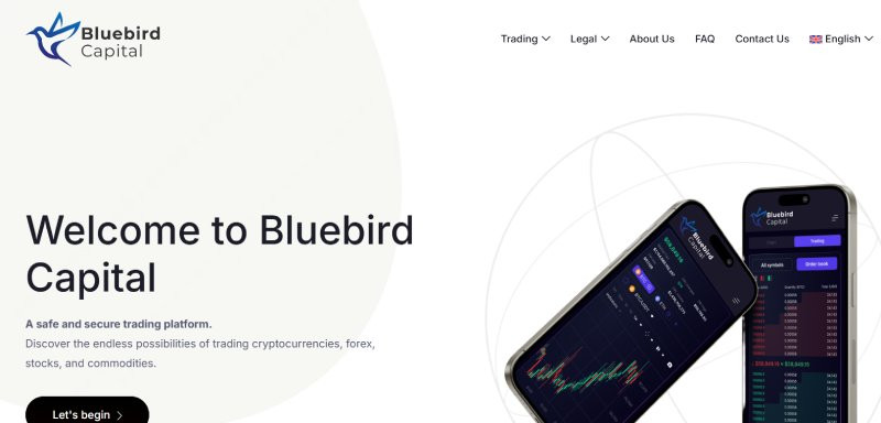 Bluebird Capital logo
