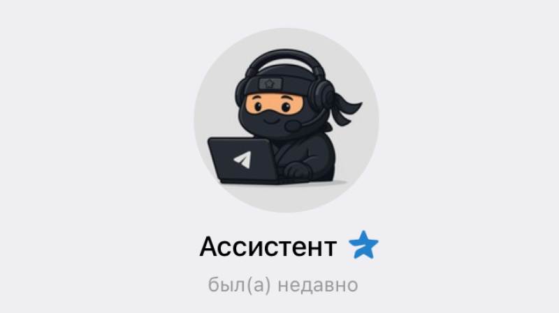 Ninja Invest: разоблачение канала о заработке на инвестициях